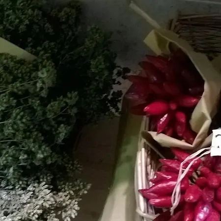 Nocleg ze śniadaniem Life's B 3*